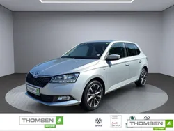Silber Gebraucht 2020 Skoda Fabia Drive Kleinwagen | 12.990 € (Fairer Preis)