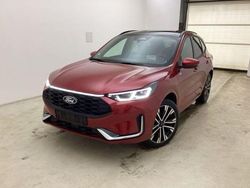 Lucidrot metallic Gebraucht 2024 Ford Kuga ST-Line X SUV | 36.490 € (Fairer Preis)