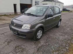 Grau Gebraucht 2012 Fiat Panda Dynamic Kleinwagen | 4.700 € (Fairer Preis)