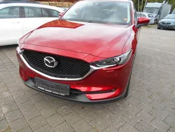 Soul red crystal Gebraucht 2017 Mazda CX-5 Sports-Line SUV | 21.490 € (Fairer Preis)