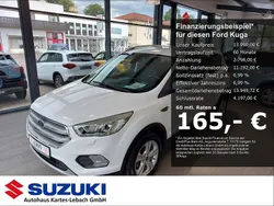 Frozen white Gebraucht 2019 Ford Kuga Cool & Connect SUV | 13.990 € (Guter Preis)