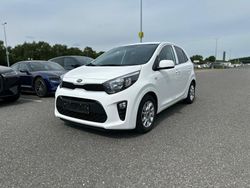 Weiß Gebraucht 2019 Kia Picanto DREAM-TEAM Edition Kleinwagen | 8.999 € (Fairer Preis)
