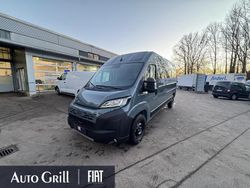 Grau Neu 2025 Fiat Ducato Van | 38.394 € (Etwas zu teuer)