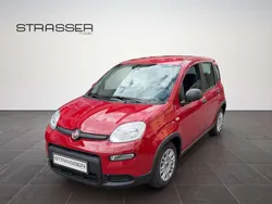 Rot Neu 2024 Fiat Panda Kleinwagen | 15.490 €