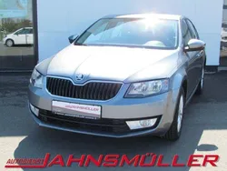 Grau Gebraucht 2014 Skoda Octavia Ambition Limousine | 10.900 € (Fairer Preis)