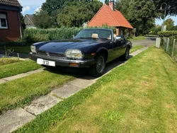 Jaguar XJS