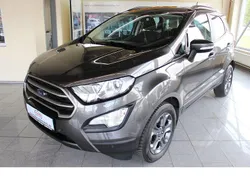 Grau Gebraucht 2019 Ford Ecosport Trend SUV | 14.555 € (Fairer Preis)