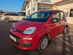 Rot Gebraucht 2014 Fiat Panda Pop Kleinwagen | 5.290 € (Teuer)