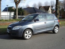 Grau Gebraucht 2008 Skoda Fabia Classic Limousine | 3.290 € (Etwas zu teuer)