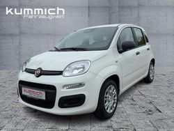 Weiß Neu 2025 Fiat Panda Icon Limousine | 17.590 € (Teuer)