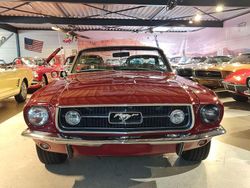 Rot Gebraucht 1967 Ford Mustang GT S Cabrio | 89.900 €