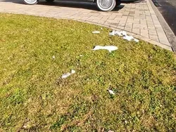 Grau Gebraucht 1965 Opel Rekord Limousine | 9.000 €