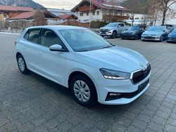 Grau Gebraucht 2024 Skoda Fabia Selection Kleinwagen | 18.400 € (Guter Preis)
