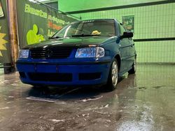 Blau Gebraucht 2001 VW Polo Kleinwagen | 1.350 € (Fairer Preis)