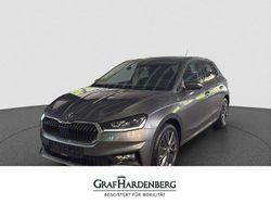 Grau Neu 2025 Skoda Fabia Tour Kleinwagen | 28.890 €