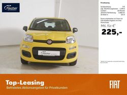 Positano gelb Neu 2025 Fiat Panda Icon Limousine | 15.680 € (Fairer Preis)