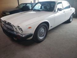 Weiß Gebraucht 1988 Jaguar XJ12 Limousine | 14.900 €