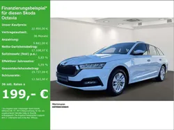 Weiß Gebraucht 2021 Skoda Octavia Ambition Kombi | 21.980 € (Guter Preis)