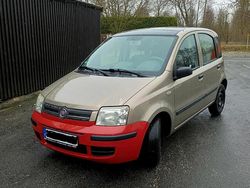 Gold Gebraucht 2009 Fiat Panda Kleinwagen | 1.150 € (Guter Preis)