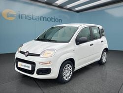 Weiß Neu 2025 Fiat Panda Kleinwagen | 16.499 € (Etwas zu teuer)