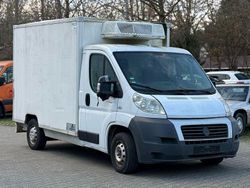 Weiß Gebraucht 2009 Fiat Ducato Van | 4.900 € (Fairer Preis)