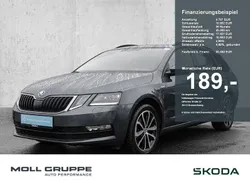 Grau Gebraucht 2020 Skoda Octavia Ambition Kombi | 20.450 € (Superpreis)