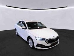 Weiß Gebraucht 2022 Skoda Octavia Limousine | 23.470 € (Guter Preis)