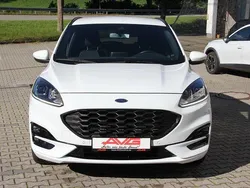 Frotsweiss Gebraucht 2024 Ford Kuga ST-Line SUV | 24.950 € (Superpreis)