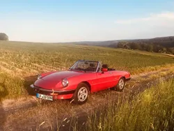 Rot Gebraucht 1989 Alfa Romeo Spider Cabrio | 14.000 €