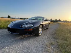 Blau Gebraucht 2001 Chevrolet Camaro Coupé | 5.999 € (Guter Preis)