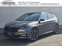 Grau Neu 2025 Skoda Fabia Monte Carlo Limousine | 25.490 € (Etwas zu teuer)