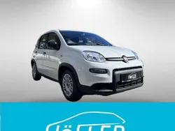 Gelato weiß Neu 2024 Fiat Panda Kleinwagen | 13.990 €