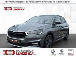Othercolor Gebraucht 2024 Skoda Fabia Selection Kleinwagen | 23.691 € (Teuer)