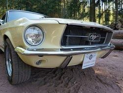 Springtime yellow Gebraucht 1967 Ford Mustang GT Style Coupé | 34.900 €