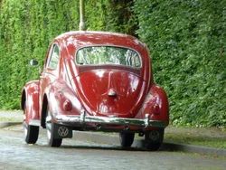 VW Käfer