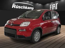 Colore esterno (weiss) Neu 2024 Fiat Panda Kleinwagen | 13.880 €