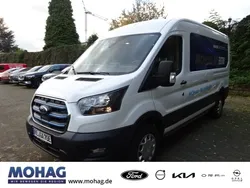 Weiss Gebraucht 2022 Ford Transit Trend Van | 36.990 € (Superpreis)