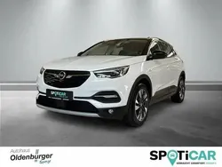 Jade weiss Gebraucht 2020 Opel Grandland X Business Innovation SUV | 19.945 € (Fairer Preis)