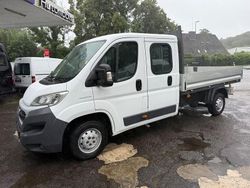 Weiß Gebraucht 2016 Fiat Ducato Van | 15.999 € (Fairer Preis)