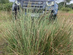 Grau Gebraucht 2021 Land Rover Defender SE Dynamic SUV | 59.995 € (Superpreis)