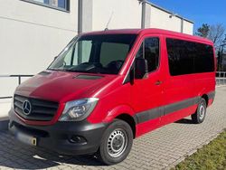 Rot Gebraucht 2017 Mercedes Sprinter Van | 17.990 €