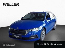 Andere Gebraucht 2023 Skoda Octavia Active Kombi | 21.000 € (Guter Preis)
