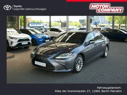 Grau Gebraucht 2020 Lexus ES300H Luxury Line Limousine | 39.980 € (Etwas zu teuer)