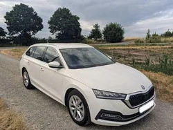 Weiß Gebraucht 2020 Skoda Octavia First Edition Kombi | 17.800 € (Guter Preis)
