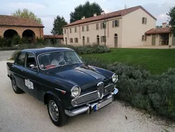 Grau Gebraucht 1962 Alfa Romeo Giulietta Kleinwagen | 17.000 €