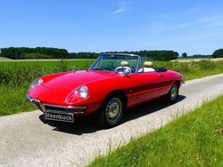 Rot Gebraucht 1966 Alfa Romeo Spider Cabrio | 42.500 €