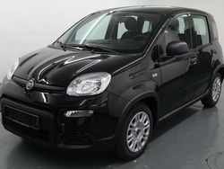 Schwarz Gebraucht 2022 Fiat Panda Kleinwagen | 12.499 € (Fairer Preis)