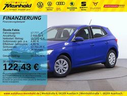 Energyblau Gebraucht 2024 Skoda Fabia Selection Kleinwagen | 17.777 € (Guter Preis)