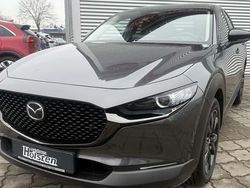 Grau Neu 2025 Mazda CX-30 Nagisa SUV | 29.980 €