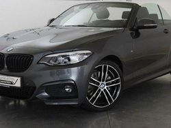 Grau Gebraucht 2021 BMW 220 M Sport Cabrio | 28.800 € (Superpreis)